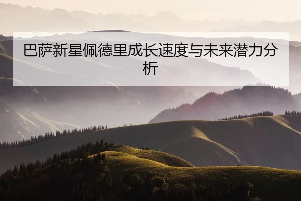 ba-sa-xin-xing-pei-de-li-cheng-zhang-su-du-yu-wei-lai-qian-li-fen-xi-2-170.jpg